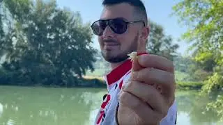 Passione FEEDER- Le BREME di PONZANO 🎣🦢
