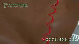 M&aacute;y ZigZag Điện Tử D&ugrave;ng May Đường Trang Tr&iacute;