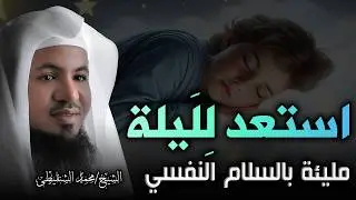 استراحة لقلبك المتعب 🕊️ | حكايات من زمن اليقين | لسكينة النفس وهدوء الوجدان | الشيخ محمد الشنقيطى🎙