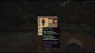 Playing wynncraft for the first time minecraft mmo no mic