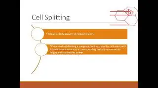 L6  Improving Coverage & Capacity in Cellular System