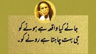 Jane Kia Waqea ha hone ko | John Elia best Poetry | Urdu Sad Poetry