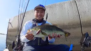 Fire Bass Fishing at The CA Delta! (Franks Tract)