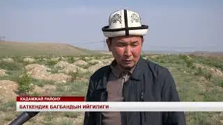 АКЫЛДУУ ТАМЧЫЛАТЫП СУГАРУУ