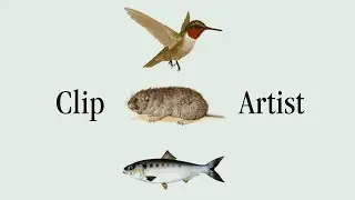 Clip Artist