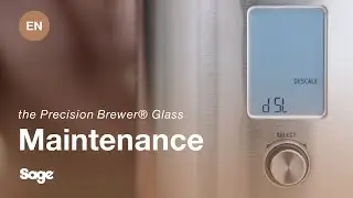 the Sage Precision Brewer&reg; Glass | A guide to descaling | Sage Appliances EU