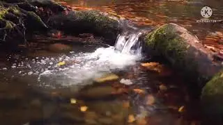 S&eacute;r&eacute;nit&eacute; Nocturne : Piano Relaxant et Sons Apaisants de l'Eau pour une Nuit de Repos
