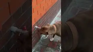 Арул очень хочет пить