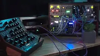 Ambient Eurorack Modular Soundscape (Mother 32, Plaits, Rings, QPAS, Data Bender, Beads)