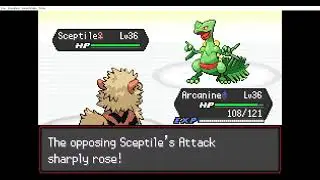 【Hardcore】Pokemon Radical Red - Rival Brendan (S.S. Anne) - Lv.36
