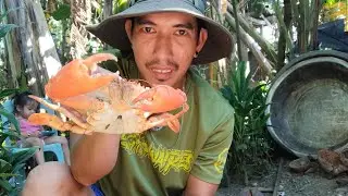 Jackpot maraming Hipon,Alimango at Palos akong nahuli Ka Bukid Tara, Ka Bukid samahan ninyo Ako