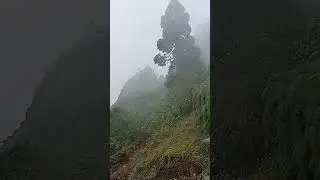 Fog at Hill #fog #hill