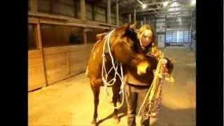 Common Horse Problems Solved: Bridling (TEASER)