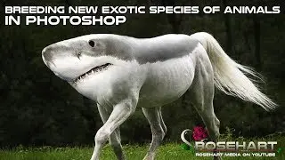 Breeding New Exotic Species Of Animals In Photoshop &bull; Rosehart Media