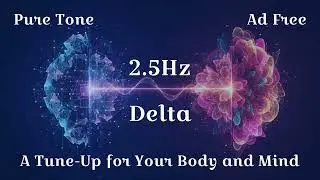 2.5Hz Delta Waves: A Tune-Up for Your Body and Mind - Achieve Total Mind & Body Restoration