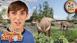 Real Life Dragons?! Exploring the World’s Giant Reptiles | Finding Stuff Out Scholastic After School