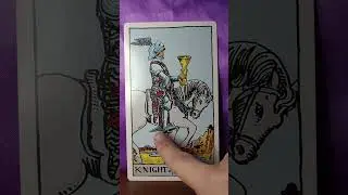 Knight of Cups - Tarot Card Meaning #lovereading #tarot