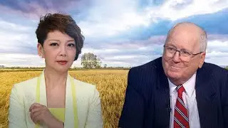 Three vital seeds China planted toward boom in agriculture