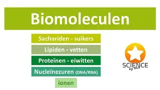 Biomoleculen: Ionen, sachariden, lipiden, proteïnen en nucleïnezuren.