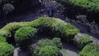 Le