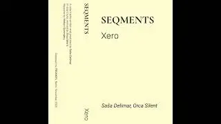 Saša Delimar - Voided