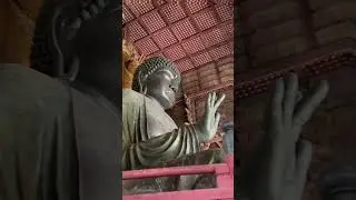 【圧倒的】存在感 奈良 東大寺の大仏様 #shorts #大仏 #お寺