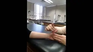 Thumb IP Flexion MMT