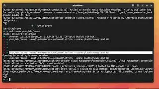 HOW TO FIX BRAVE BROWSER ON LINUX WAYLAND AND ENABLE ZOOM GESTURE AND INERTIAL SCROLLING