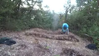 Nature Wonderland; getting the second groove ready by removing underground stems and roots 20251027