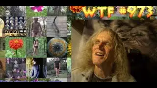 WTF #973: You can love playing...but still hate the Game