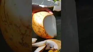 Super fantastic satisfying yellow coconut slices