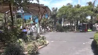 Valencia - Oceanografic tour