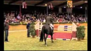 Favorit Ask - Elite Stallions