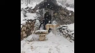 Primitive Cave Making With Fire and Hand Tools Like Our Ancestors, Minecraft, Treasure Hunter, DIY