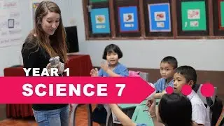 Year 1 Science, Lesson 7, Characteristics of Living Things