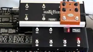 PEAK FCB4N2 with T-Rex Replica Delay