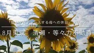 「娘がプロデュースする母への休日」シリーズ　8月清瀬・等々力不動尊