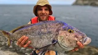 SOLO ROCK FISHING ADVENTURE | Queen Snapper | Catch and Cook