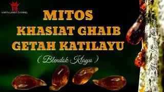 Khasiat dan Manfaat Getah Katilayu Asli