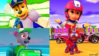 PAW Patrol - Coffin Dance Song (Cover)