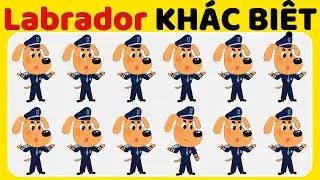 Chỉ 1% Người Chơi Tìm Ra Điểm Khác Biệt Trong Cảnh Sát Trưởng Labrador 🐾🚓 | Chan Đố Vui