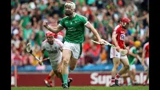 Sporting Limerick All Ireland Final Panel
