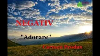 NEGATIV cu versuri 