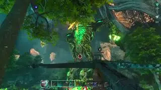 we killed the forest titan!