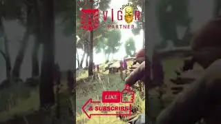 PARA love affair #vigorpartner #vigorthegame #staygold