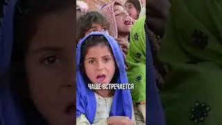 ОСОБЕННОСТИ местных традиций Пакистана!