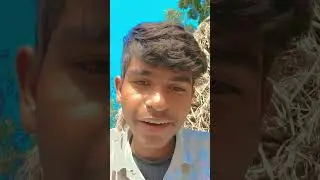 new songnew songshindi songsnew song 2024hindi new songhindi songnew hindi songs