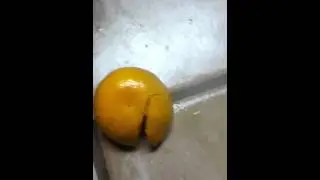 Smashing An Orange In Slow Motion
