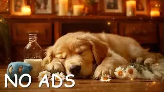 12 часов нежной игры на пианино для собак 🐾 Успокаивающая музыка, которая поможет вашему щенку расс