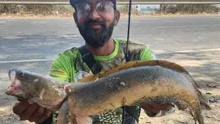 How to catch best size model fish 🐠🐟#fishing #cooking #only Fishing video